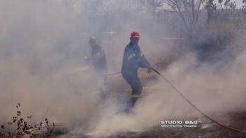  Πυρκαγιά σε αγρόκτημα στην Άρια Ναυπλίου 