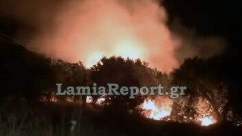 Πυρκαγιά κοντά στην εθνική οδό Αθηνών - Λαμίας