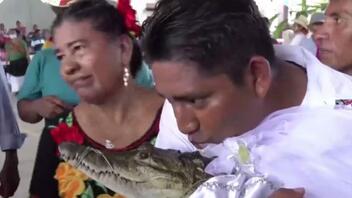 Δήμαρχος στο Μεξικό παντρεύτηκε… αλιγάτορα τιμώντας προαιώνια παράδοση