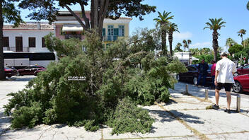 Έπεσε μεγάλη κλάρα δέντρου στην Πλατεία Δικαστηρίων στο Ναύπλιο