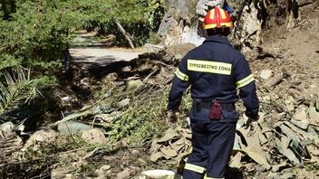 Ιωάννινα: Επιχείρηση διάσωσης – Χάθηκαν σε δάσος στο Τσεπέλοβο δύο ανήλικοι