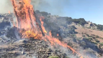Άμεση κινητοποίηση για φωτιά κοντά στον Κρουσώνα! - Δείτε βίντεο και φωτογραφίες
