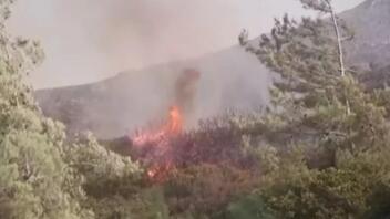 Καστοριά: Οριοθετήθηκε η φωτιά στον Γράμμο