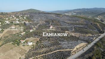Εικόνες αποκάλυψης, από drone, μετά τη φωτιά στη Μαγνησία!