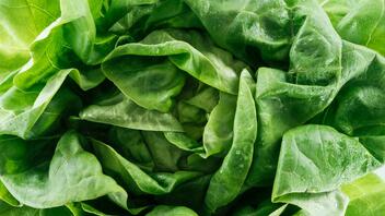 Τα 3 λαχανικά που πρέπει να τρώτε κάθε μέρα για ένα υγιές σώμα άνω των 40