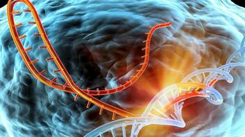Μέσο ανίχνευσης του καρκίνου, το DNA των όγκων