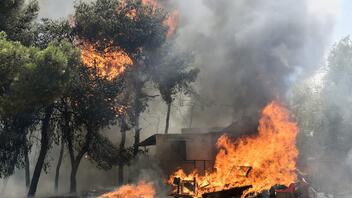 Πυρκαγιές: Με διαδικασίες «εξπρές» η καταβολή αποζημιώσεων 
