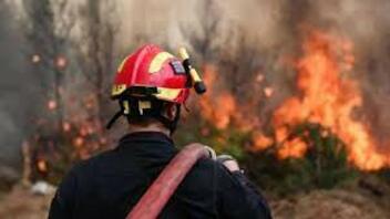 Φωτιά στα Πεζά: Αποτελεσματική η άμεση επέμβαση της Πυροσβεστικής