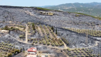 Video: Η Λαμία την επόμενη μέρα της πυρκαγιάς από ψηλά - Συγκλονίζουν οι εικόνες