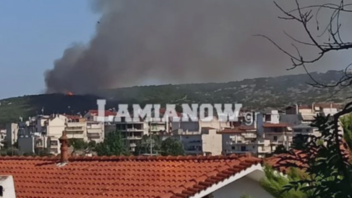 Φωτιά στη Λαμία: Αναζωπύρωση στη συνοικία Αφανού - Μήνυμα από το 112