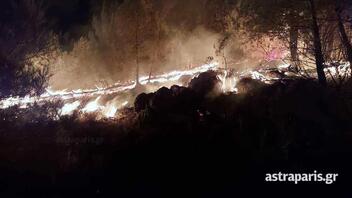 Φωτιά σε δασική έκταση στη Χίο