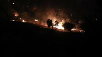 Τέσσερις τραυματίες σε μεγάλη πυρκαγιά στη Σαρδηνία