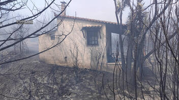 Φωτιά στο Άργος: Ζημιές σε σπίτια - Και εθελοντές στη μάχη με τις φλόγες