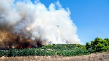Ορεστιάδα: Φωτιά σε αγροτοδασική έκταση στα Λάβαρα Έβρου - Ενεργοποιήθηκε το 112