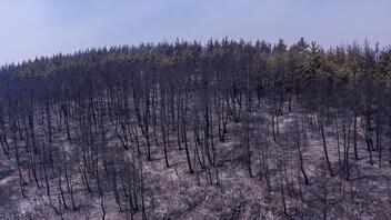 ΥΠΕΝ: Μετά την καταστολή των πυρκαγιών η συνολική αποτίμηση για τις καμένες εκτάσεις