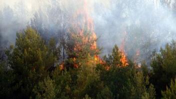 Φωτιά σε χωριό της Εύβοιας, δίπλα σε σπίτια 