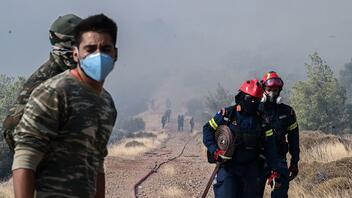 Πυροσβεστική: 104 πυρκαγιές αντιμετωπίζουν οι δυνάμεις της πυροσβεστικής σε όλη την επικράτεια