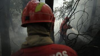Μεγάλη πυρκαγιά σε 14ώροφο συγκρότημα κατοικιών στη Βαλένθια - Δείτε βίντεο