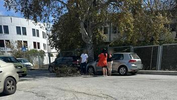 Αναστάτωση από κλαδί δέντρου που έπεσε έξω από σχολεία - Δείτε φωτογραφίες