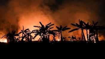 Αποψίλωση του δάσους: Η πρωτεύουσα της πολιτείας Αμαζόνας της Βραζιλίας πνίγεται από τους καπνούς των πυρκαγιών