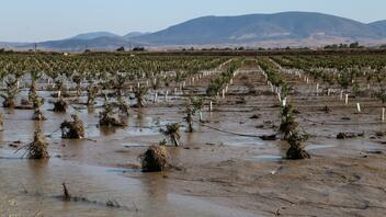 Θεσσαλία: Τι γίνεται με τις καλλιέργειες και τις αποζημιώσεις έναν μήνα μετά τις πλημμύρες