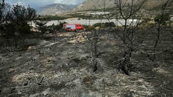Πρόλαβαν τα χειρότερα οι πυροσβέστες στο Ελαφονήσι - Δείτε φωτογραφίες 