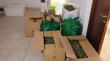 Μπλόκο της Ασφάλειας σε διακινητές ναρκωτικών - Κατασχέθηκαν 49 κιλά χασίς