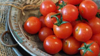Τα 6 σούπερ οφέλη υγείας που έχουν οι ντομάτες