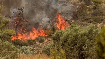 Δράμα: Υπό μερικό έλεγχο η μεγάλη φωτιά στο Νικηφόρο