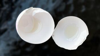 Τσόφλια αυγών: Εναλλακτικές χρήσεις που δεν είχες σκεφτεί
