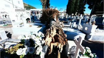  Μεγάλες ζημιές στο κοιμητήριο του Άργους - Δέντρα έπεσαν πάνω σε μνήματα