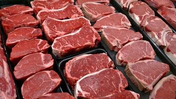 Ιταλία: Απαγορεύεται το κρέας που παράγεται στο εργαστήριο