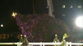 Έπεσε το χριστουγεννιάτικο δέντρο μπροστά στο Λευκό Οίκο
