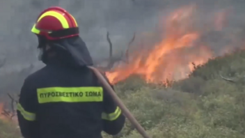 Φωτιά στην Εύβοια: Εκτός ελέγχου η κατάσταση, εκκενώθηκαν χωριά – Στις παραλίες ο κόσμος