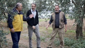 Ο Μητσοτάκης συζήτησε με αγρότες που μάζευαν ελιές και άκουσε για τα φετινά προβλήματα