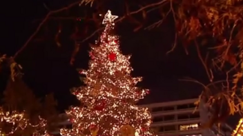Φωταγωγήθηκε το χριστουγεννιάτικο δέντρο της Αθήνας 