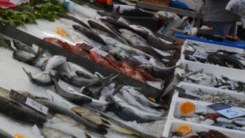 Έμμεσο θύμα των πλημμυρών στη Θεσσαλία η ζήτηση σε ψάρια, λένε αλιείς και ιχθυέμποροι