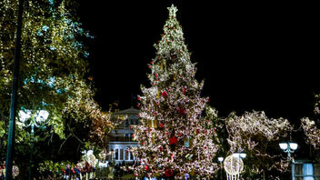 Στήνεται με 24.000 λαμπάκια το χριστουγεννιάτικο δέντρο στο Σύνταγμα