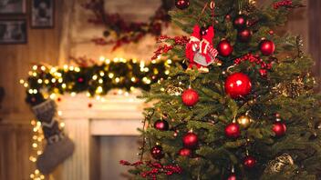 Η Ιστορία της Κυριακής: Πότε στολίστηκε το πρώτο χριστουγεννιάτικο δέντρο στην Ελλάδα;