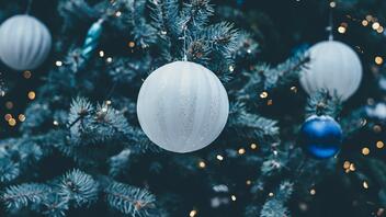 Φωταγωγείται το Χριστουγεννιάτικο δέντρο στο Ενετικό Λιμάνι Χανίων
