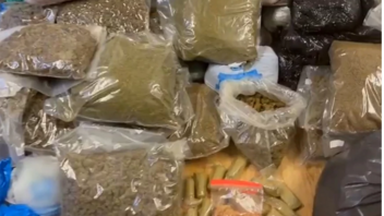 Εξαρθρώθηκε σπείρα που καλλιεργούσε κάνναβη – Συνελήφθησαν 7 άτομα και κατασχέθηκαν 108 κιλά ναρκωτικών