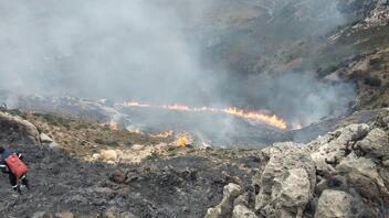 Υπό πλήρη έλεγχο η φωτιά στο Οροπέδιο Λασιθίου - Κάηκαν 200 στρ. δασικής έκτασης