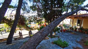 Μεγάλο δέντρο έπεσε πάνω σε σπίτι στο Ναύπλιο - Δείτε βίντεο