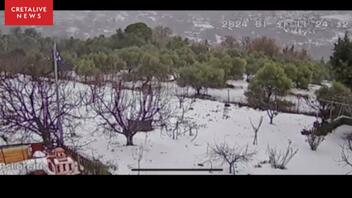 Κακοκαιρία «Avgi»: Το χιονισμένο περιβόλι με τις κερασιές στο Αμάρι