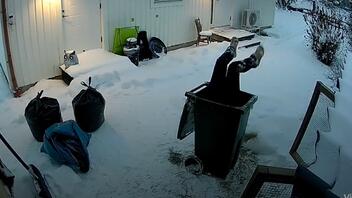 Γυναίκα σφήνωσε σε κάδο σκουπιδιών - Δείτε βίντεο 
