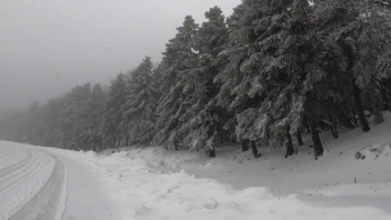 Εύβοια χιόνια: Δίνουν μάχη για να μείνουν οι δρόμοι ανοιχτοί