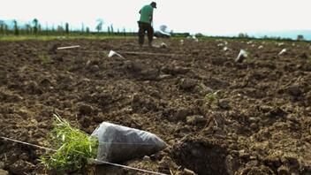 ΕΛΓΟ-ΔΗΜΗΤΡΑ: Ξεκινά η υλοποίηση των προγραμμάτων αγροτικής κατάρτισης
