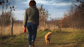 Οι λόγοι που ο σκύλος σας μπορεί να μην θέλει να πάει βόλτα