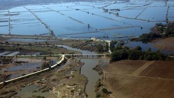 Oι καταστροφές λόγω πλημμυρών στη Θεσσαλία ίσως ωθήσουν σε εγκατάλειψη δεντροκαλλιεργειών και κτηνοτροφίας