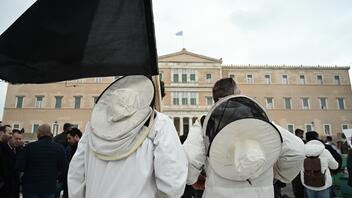 Σε κλοιό κινητοποιήσεων η Αθήνα: Συγκεντρώσεις από μελισσοκόμους, υγειονομικούς και πανεκπαιδευτικό συλλαλητήριο